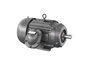 CCPX251526T
