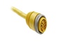 889N-F12ACNU-2