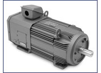 ZDBRPM281004R1