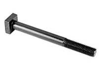 46561