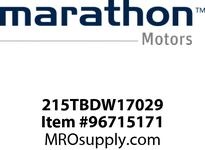 215TBDW17029