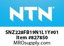 SNZ228FB19N1L1Y#01