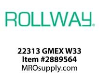 22313 GMEX W33