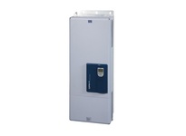 CFW110312T4SZ-PGS