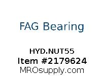 HYD.NUT55