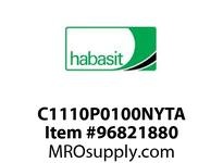 C1110P0100NYTA