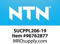 SUCPPL206-19