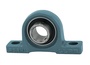 BLLP6