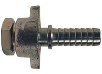 GDF6