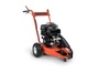 ST49019DEN
