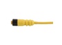 503A0066AR