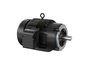 VXT3036T-5