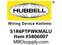 S1R6PTPWKMALU