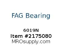 6019N