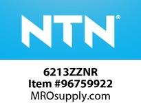 6213ZZNR