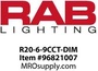 R20-6-9CCT-DIM