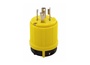 CRL1530P