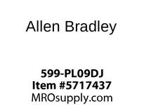 599-PL09DJ