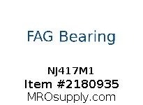 NJ417M1