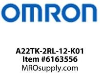 A22TK-2RL-12-K01