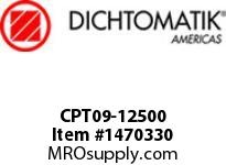 CPT09-12500