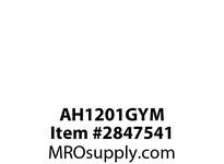AH1201GYM