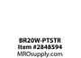 BR20W-PTSTR