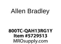 800TC-QAH13RG1Y