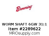WORM SHAFT 6GW 31:1