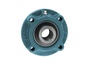 UCFCX15
