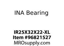 IR25X32X22-XL