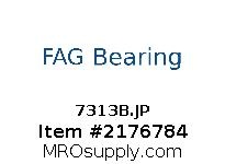 7313B.JP