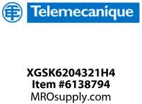 XGSK6204321H4