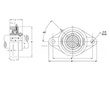 SFL 206