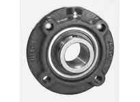 FCX 17