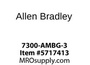 7300-AMBG-3
