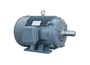 PEWWE5-12-215T