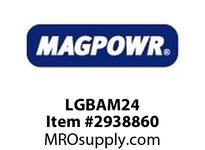 LGBAM24