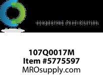 107Q0017M